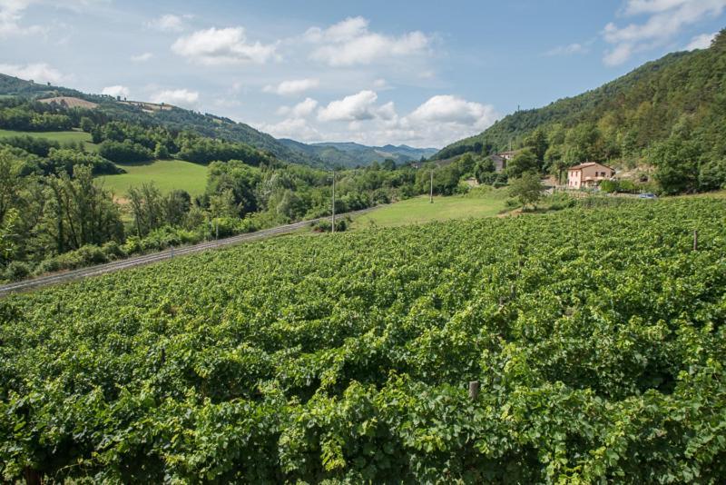 Agriturismo Pedrosola Brisighella Kültér fotó