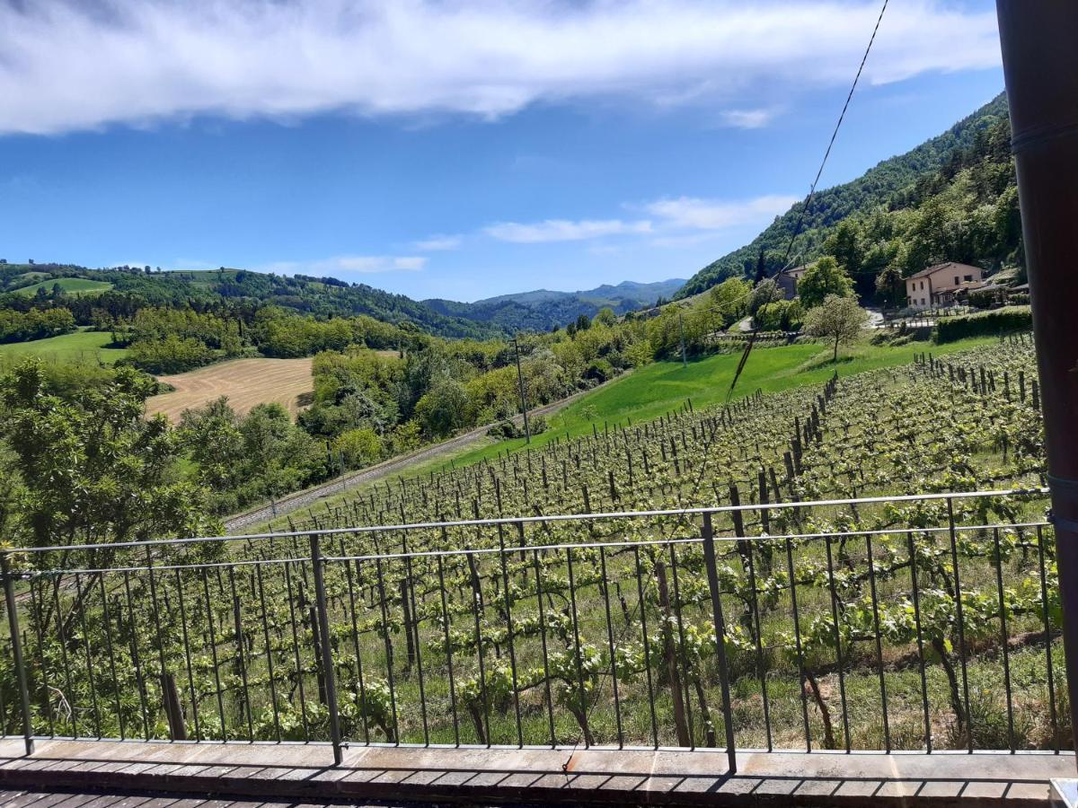 Agriturismo Pedrosola Brisighella Kültér fotó