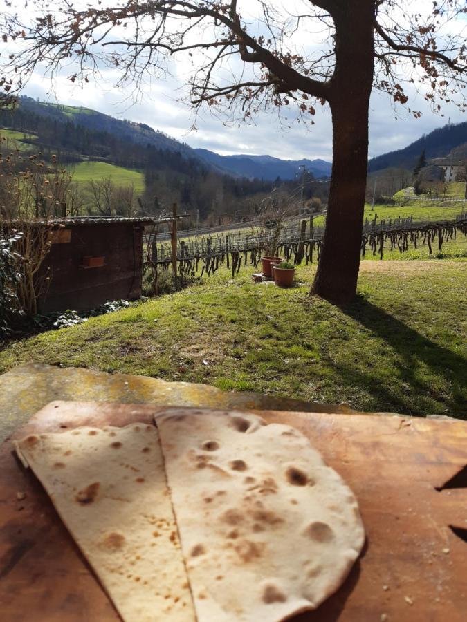 Agriturismo Pedrosola Brisighella Kültér fotó