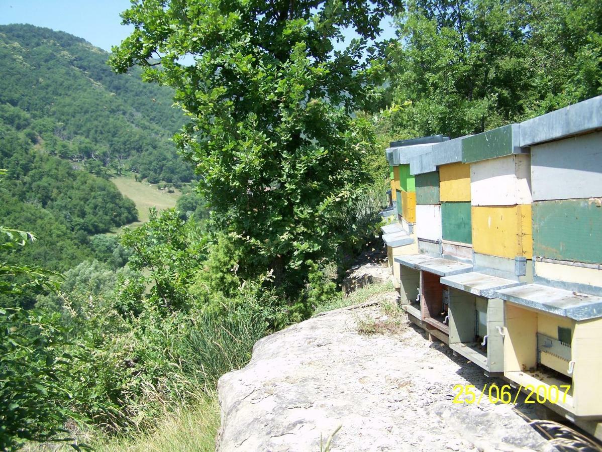 Agriturismo Pedrosola Brisighella Kültér fotó